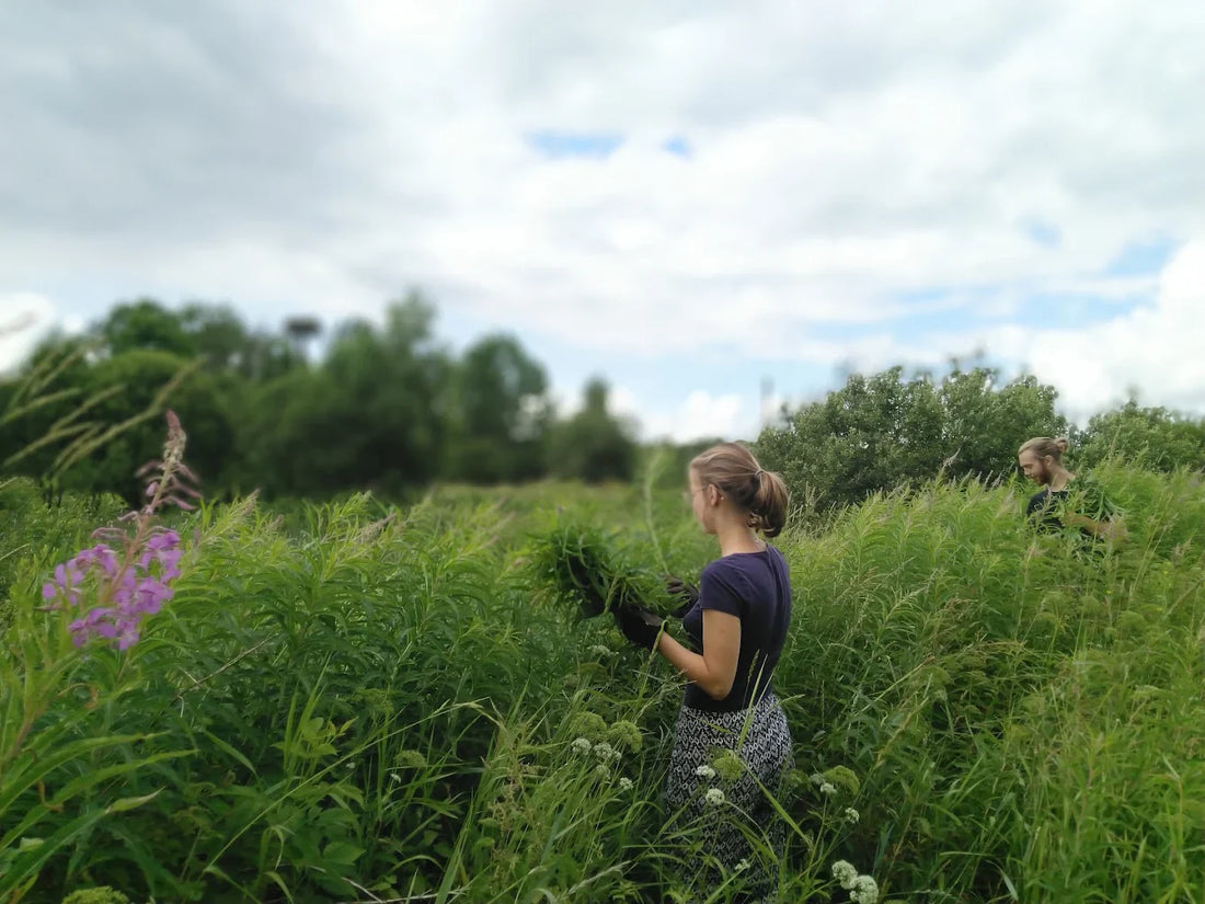 Apie mus rašo laikraštis Valstietis
